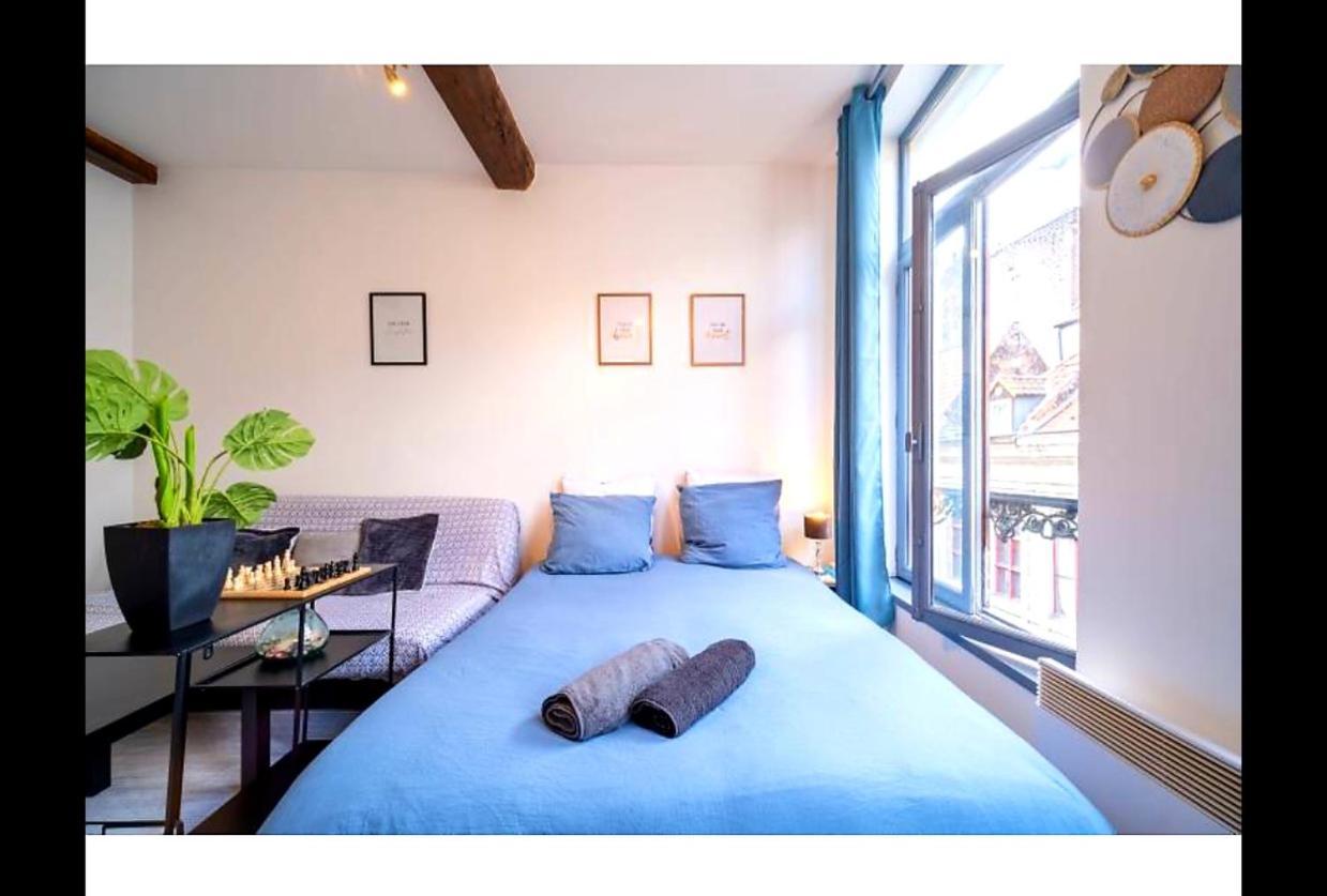 La Belle Niche Apartment Lille Exterior photo